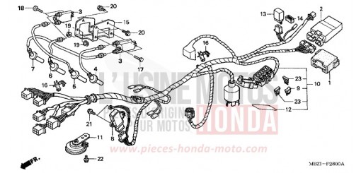 FAISCEAU DES FILS (CB600F2) CB600F2 de 2002